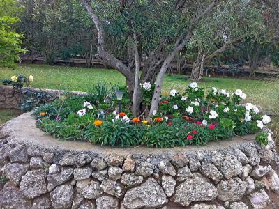 Villa Lyra mit Garten am Strand fr Familienurlaub auf Corfu